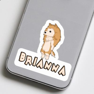 Aufkleber Collie Brianna Gift package Image