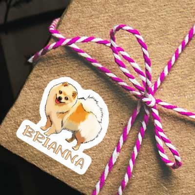 Autocollant Spitz allemand Brianna Gift package Image