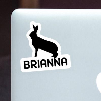 Rabbit Sticker Brianna Gift package Image