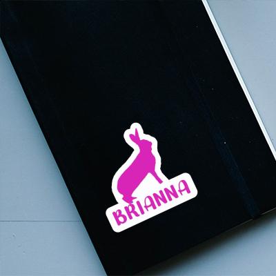 Lapin Autocollant Brianna Laptop Image