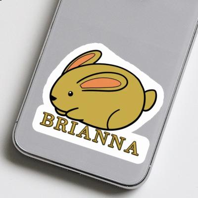 Lapin Autocollant Brianna Gift package Image