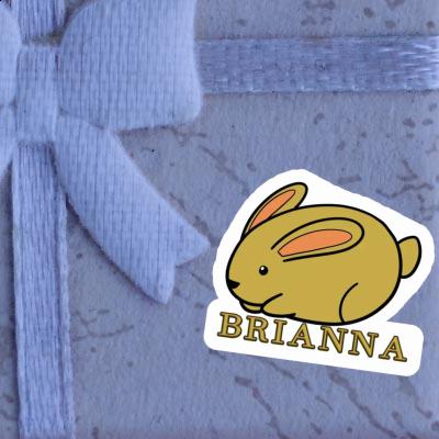 Autocollant Lapin Brianna Laptop Image