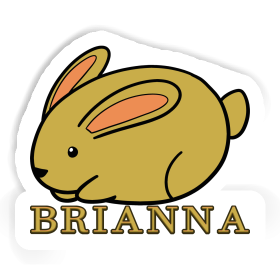 Autocollant Lapin Brianna Gift package Image