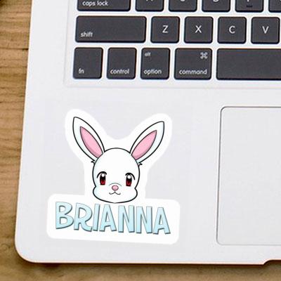 Autocollant Brianna Lapin Gift package Image