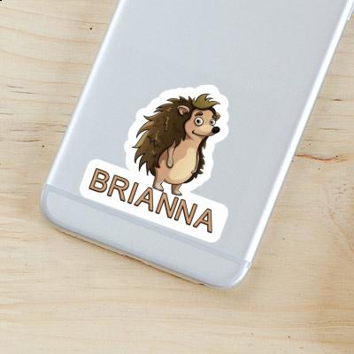 Sticker Brianna Hedgehog Notebook Image