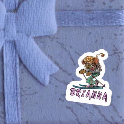 Sticker Skier Brianna Notebook Image