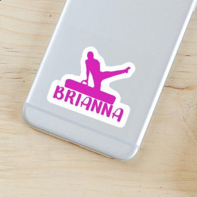 Brianna Sticker Turner Gift package Image