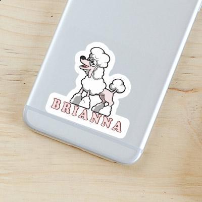 Autocollant Caniche Brianna Laptop Image