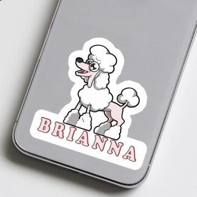 Autocollant Caniche Brianna Laptop Image