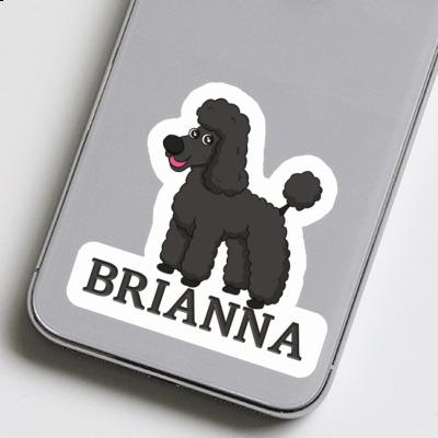 Caniche Autocollant Brianna Image