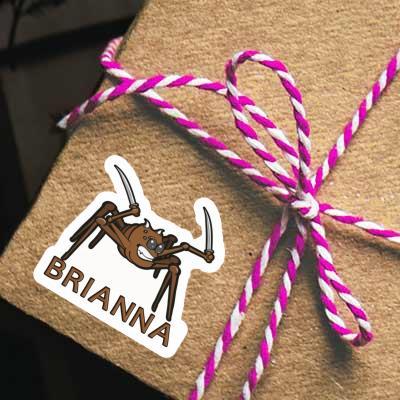 Sticker Brianna Fighting Spider Gift package Image