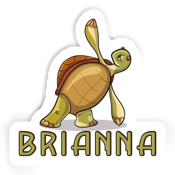 Autocollant Brianna Tortue Notebook Image