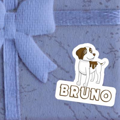 Sticker Bruno Bretagne Spaniel Image