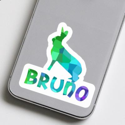 Autocollant Bruno Lapin Laptop Image