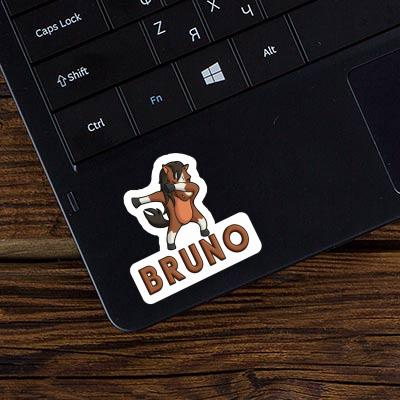 Sticker Bruno Horse Laptop Image