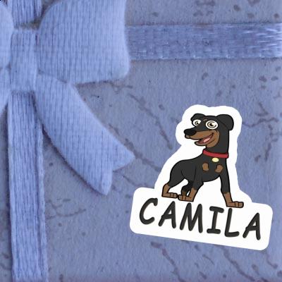 Autocollant Pinscher Camila Laptop Image