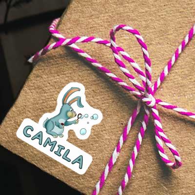 Autocollant Camila Lapin Gift package Image