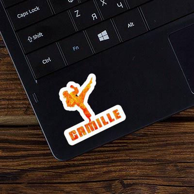 Sticker Camille Karateka Gift package Image