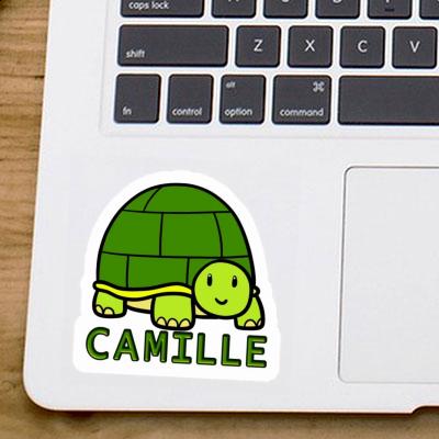 Autocollant Camille Tortue Gift package Image