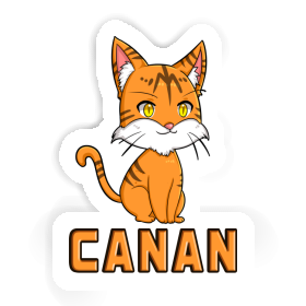 Canan Sticker Kitten Image