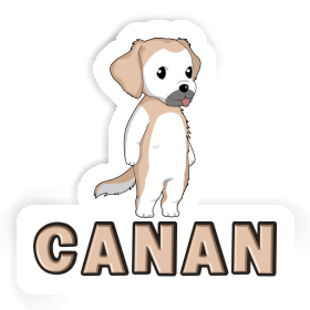 Autocollant Golden Retriever Canan Image