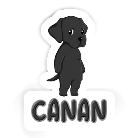 Sticker Labrador Canan Image