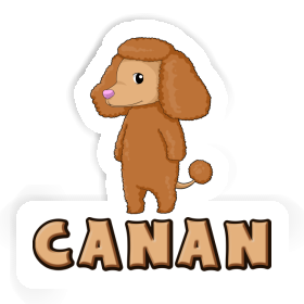 Sticker Canan Poodle Image