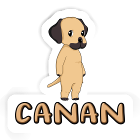 Autocollant Canan Rhodesian Ridgeback Image