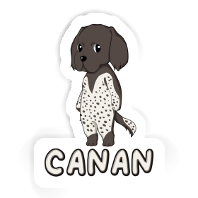 Small Munsterlander Sticker Canan Image