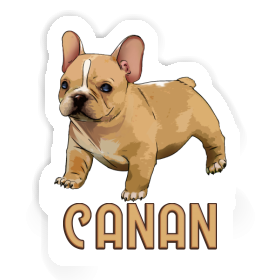 Sticker Frenchie Canan Image