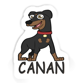 Sticker German Pinscher Canan Image