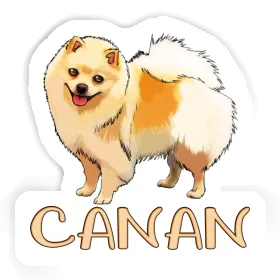 Sticker German Spitz Canan Image