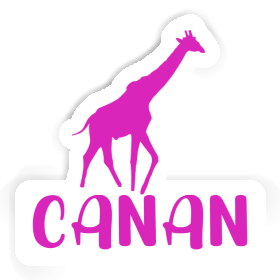 Autocollant Canan Girafe Image