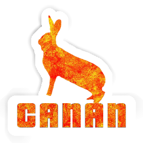 Rabbit Sticker Canan Image