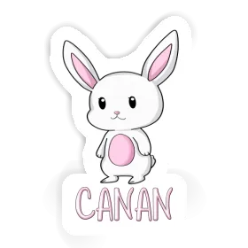 Sticker Canan Hare Image