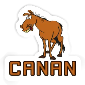 Canan Sticker Horse Image