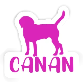 Canan Autocollant Chien Image