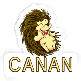 Sticker Hedgehog Canan Image