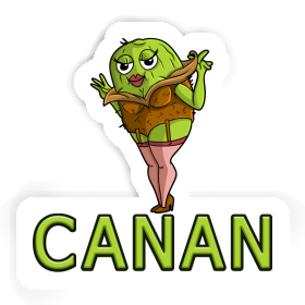 Sticker Canan Kiwi Image