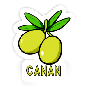 Canan Sticker Olive Image