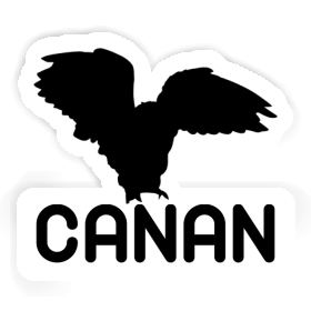 Sticker Owl Canan Image