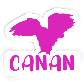 Sticker Canan Owl Image