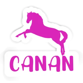 Horse Sticker Canan Image