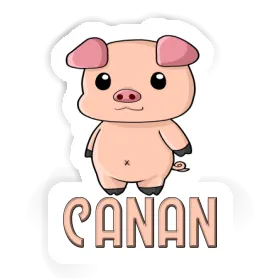 Canan Sticker Piglet Image