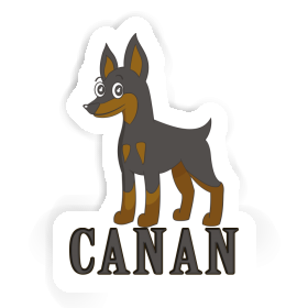 Pinscher Autocollant Canan Image