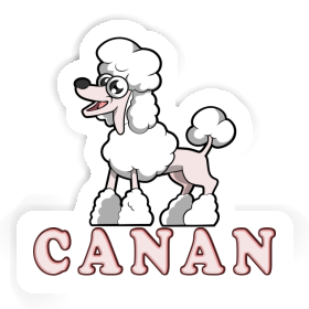 Caniche Autocollant Canan Image