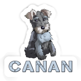 Autocollant Schnauzer Canan Image