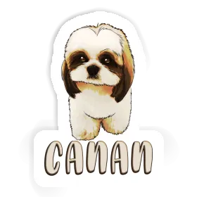 Sticker Shih Tzu Canan Image