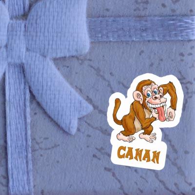 Affe Sticker Canan Laptop Image