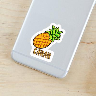 Sticker Ananas Canan Laptop Image